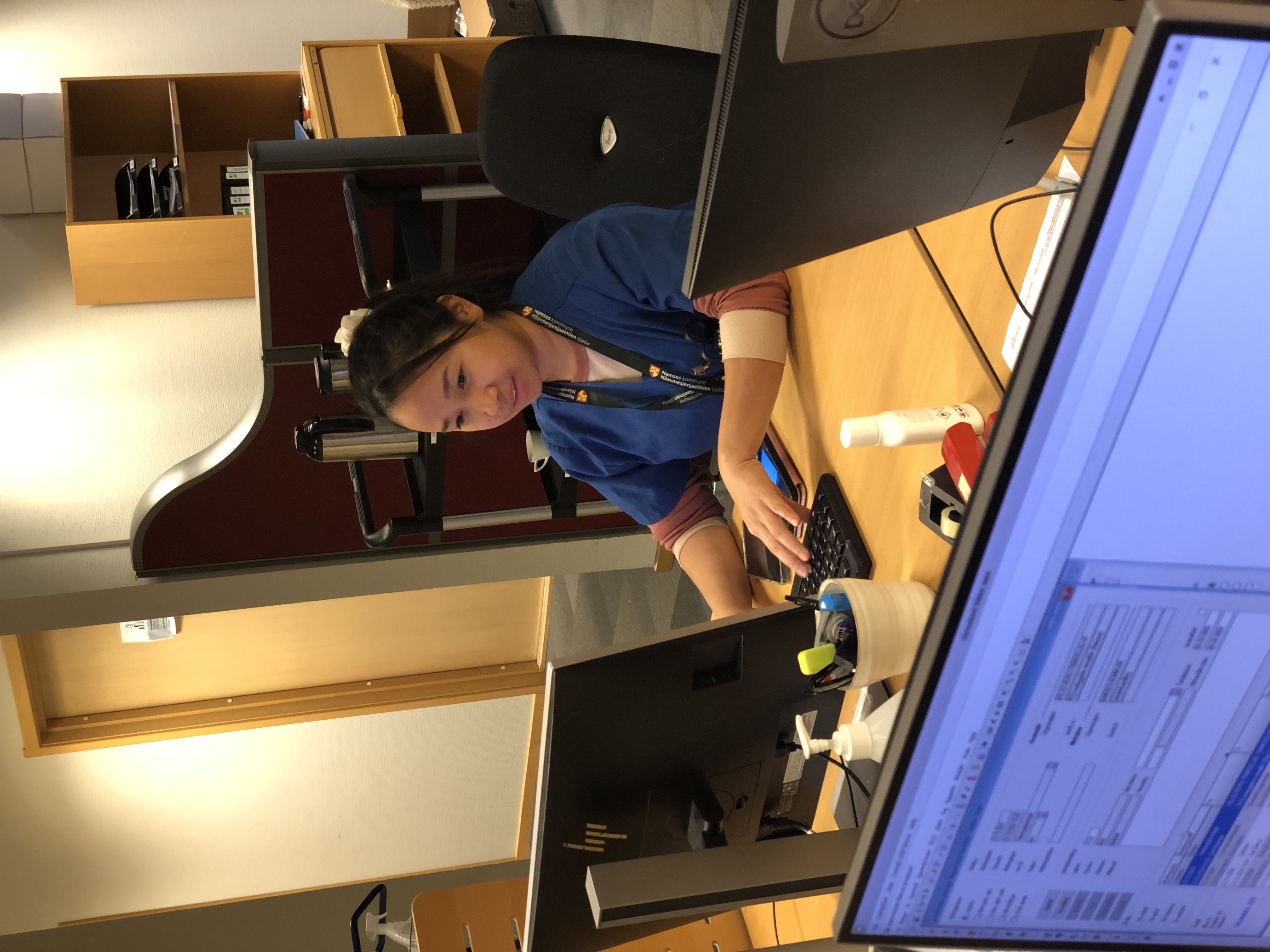 Dokumentasjon av dagens observasjoner