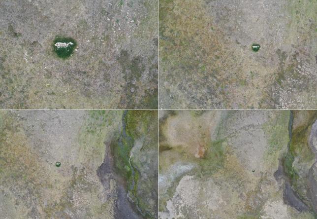 Dronebilete av Adventdalen. Fotografi.