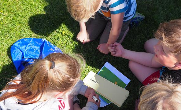 Fire undersøker en gressplen, sett ovenfra. Foto.