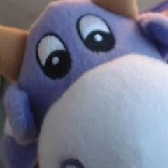 Ansattbilde: Rune Bostad