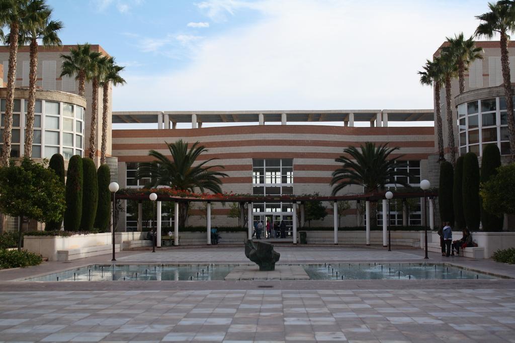 University of Alicante