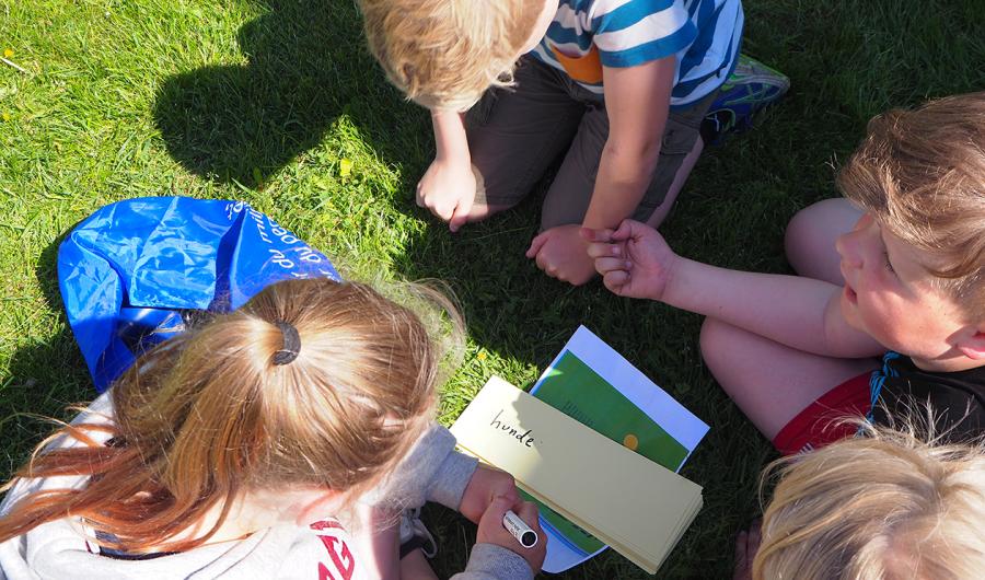 Fire undersøker en gressplen, sett ovenfra. Foto.