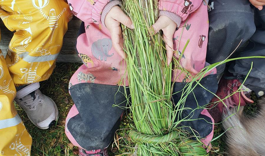 Tre barn som jobber med sennegress. Foto: Meerke Krihke Leine Bientie