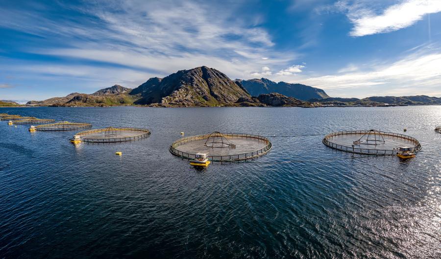 Fiskeri og havbruk Foto:Shutterstock