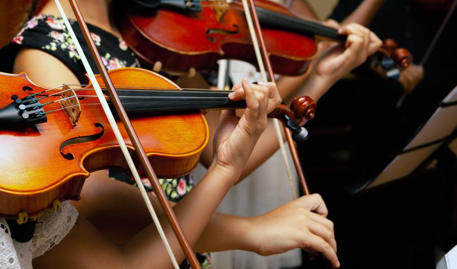 Nærbilde av to fiolinister.