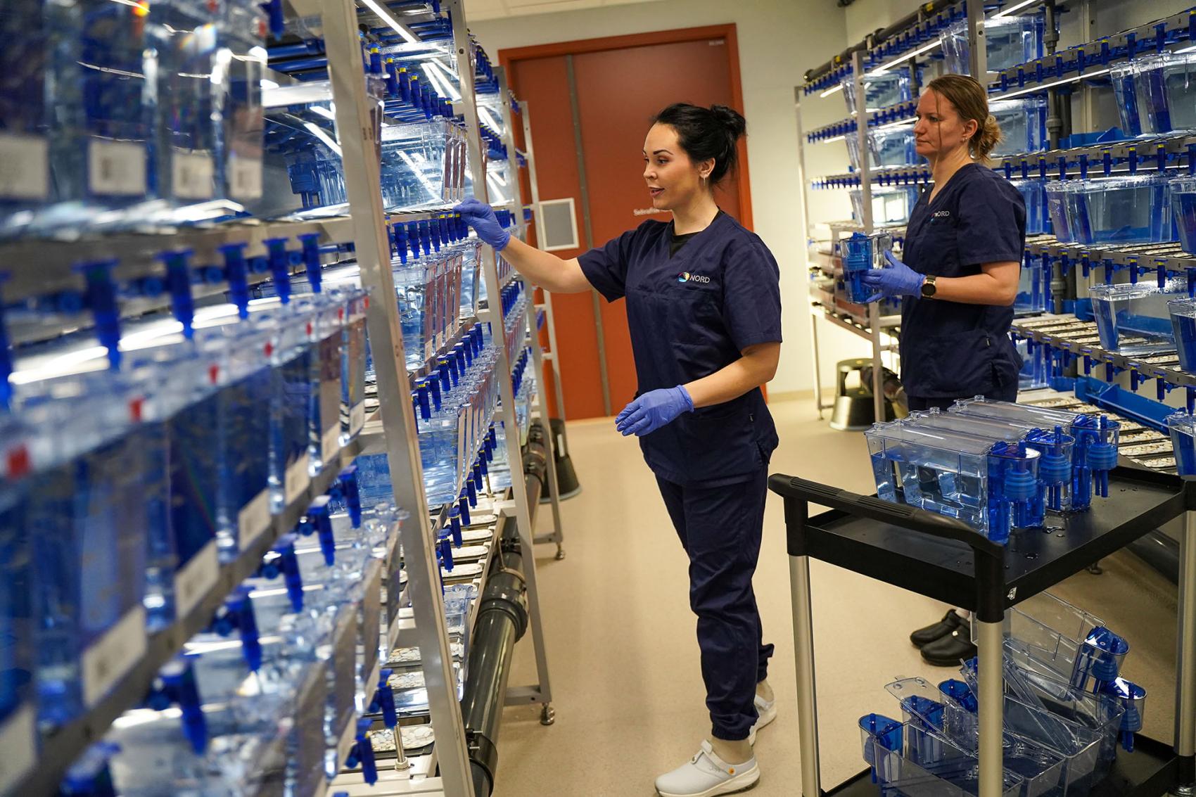 Madeleine Jodal og Cesilie Amundsen