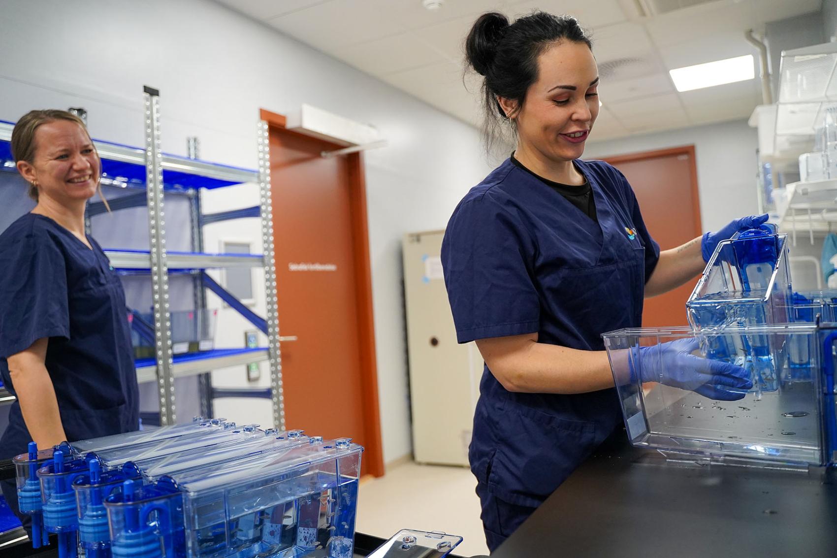 To kvinnelege forskarar på laboratorium. Foto