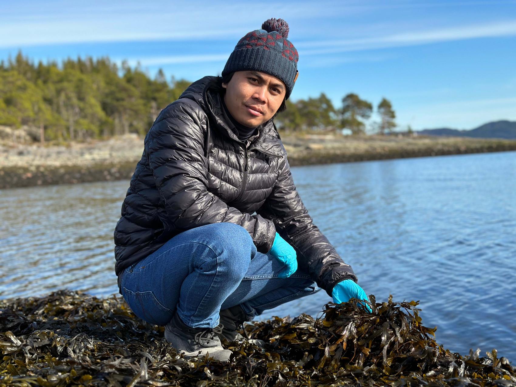 Ung mann med lue og, boblejakke og dongeribukse som sitter på huk i fjæra mens han løfter opp litt tang og tare. Foto