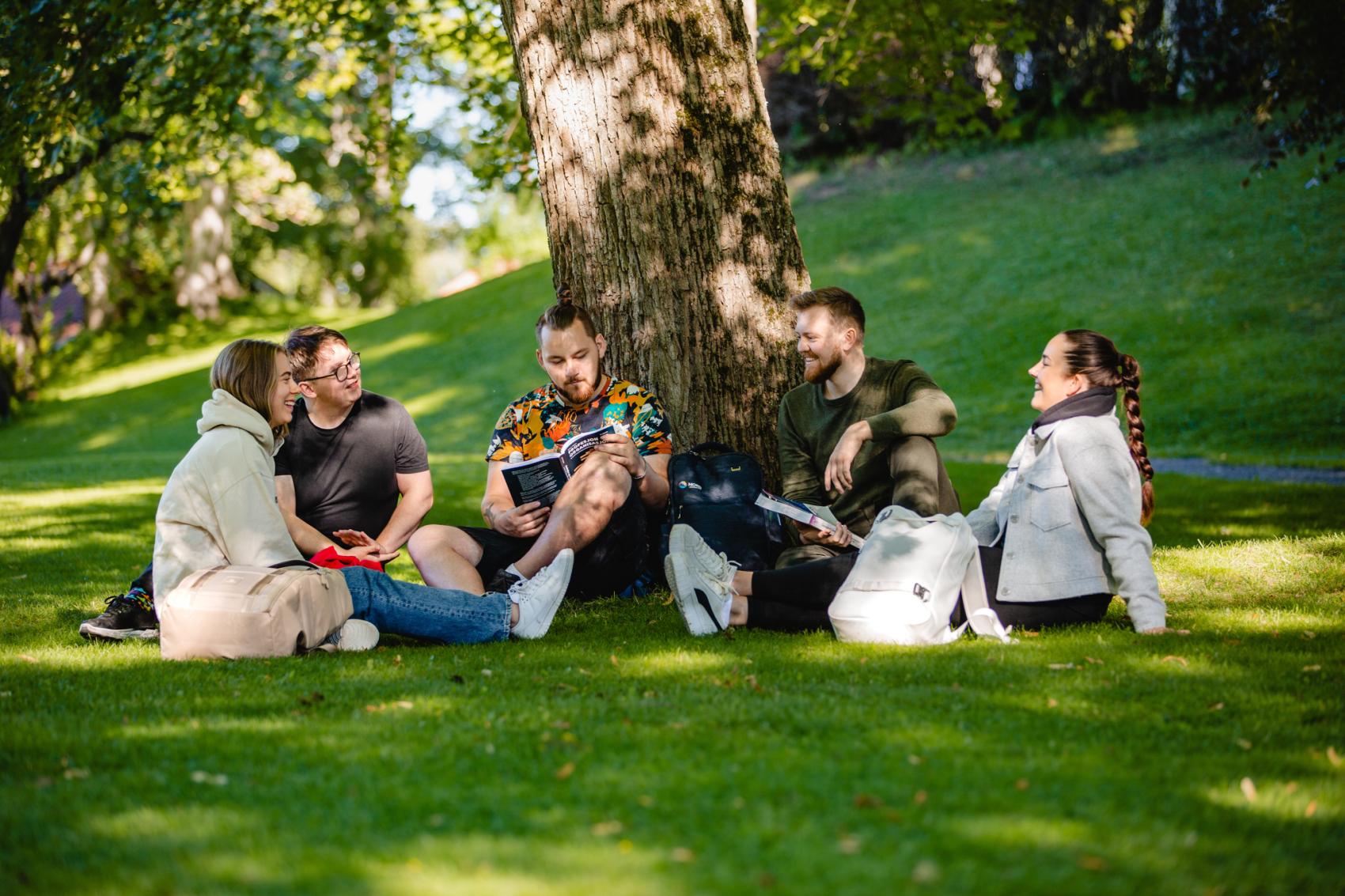 Fem studenter som sitter på en plen og snakker sammen på campus Levanger.