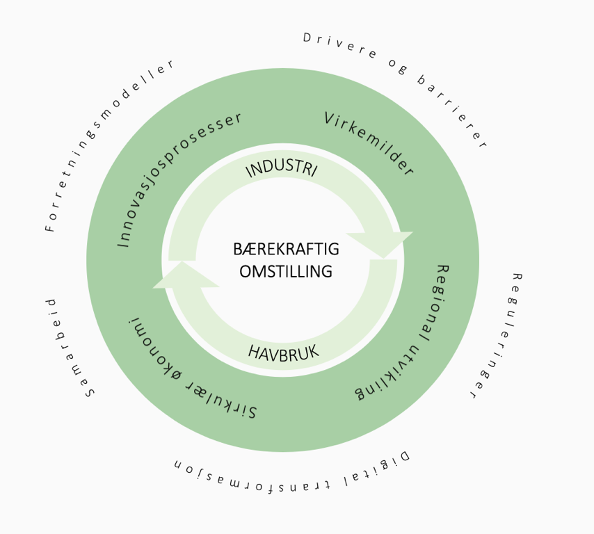 Et illustrert hjul med ordene "Bærekraftig omstilling" plassert i midten.